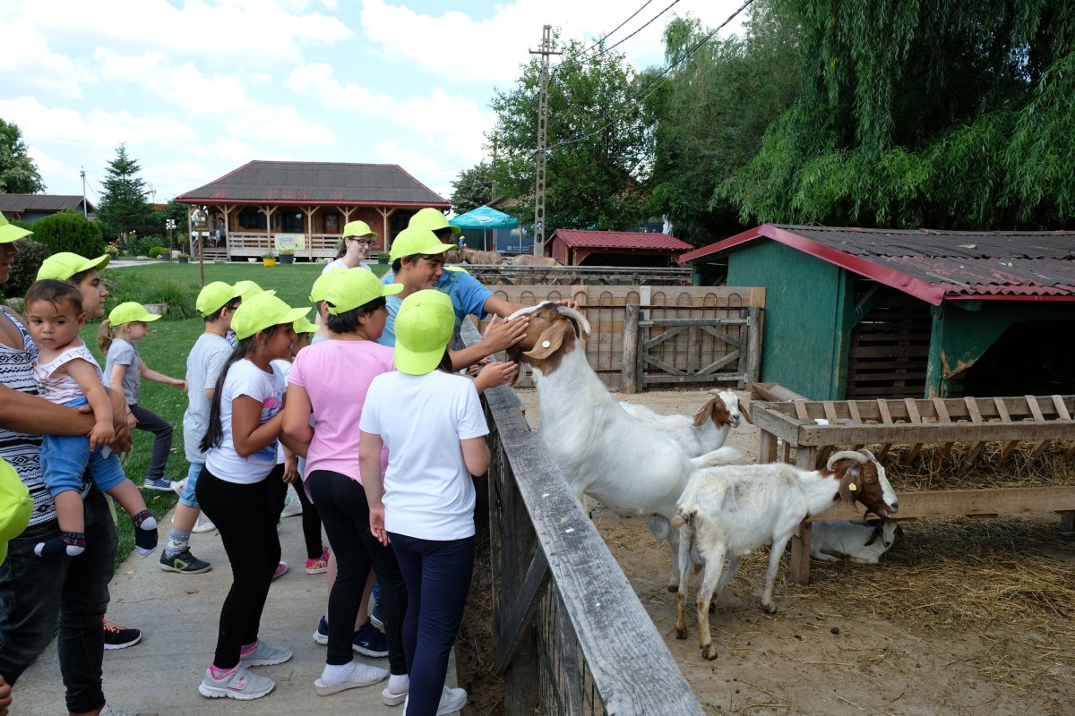 Vacanţă plăcută pentru copiii Centrului „Justinian Patriarhul” 37159