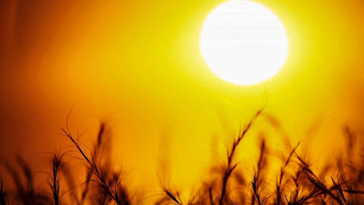 Zile caniculare peste România 36814