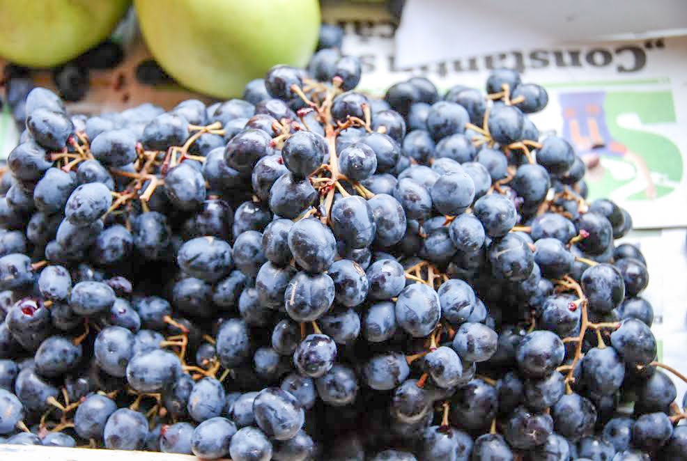 Cum să ne păstrăm mintea sănătoasă 36539