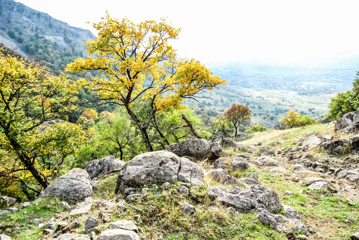 Tortura prin speranță 36410