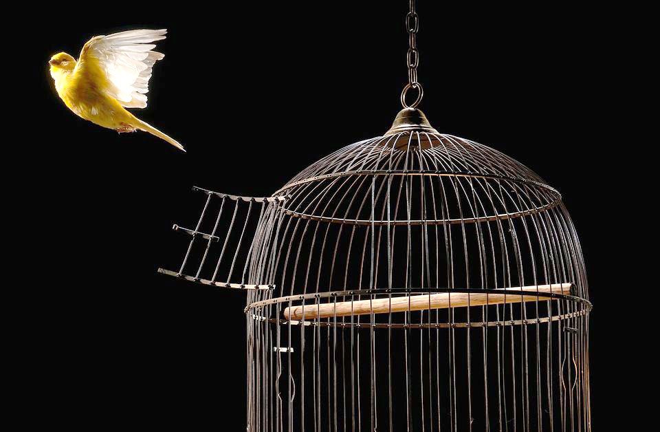 Rezistența anticomunistă și despătimirea sufletului 36092