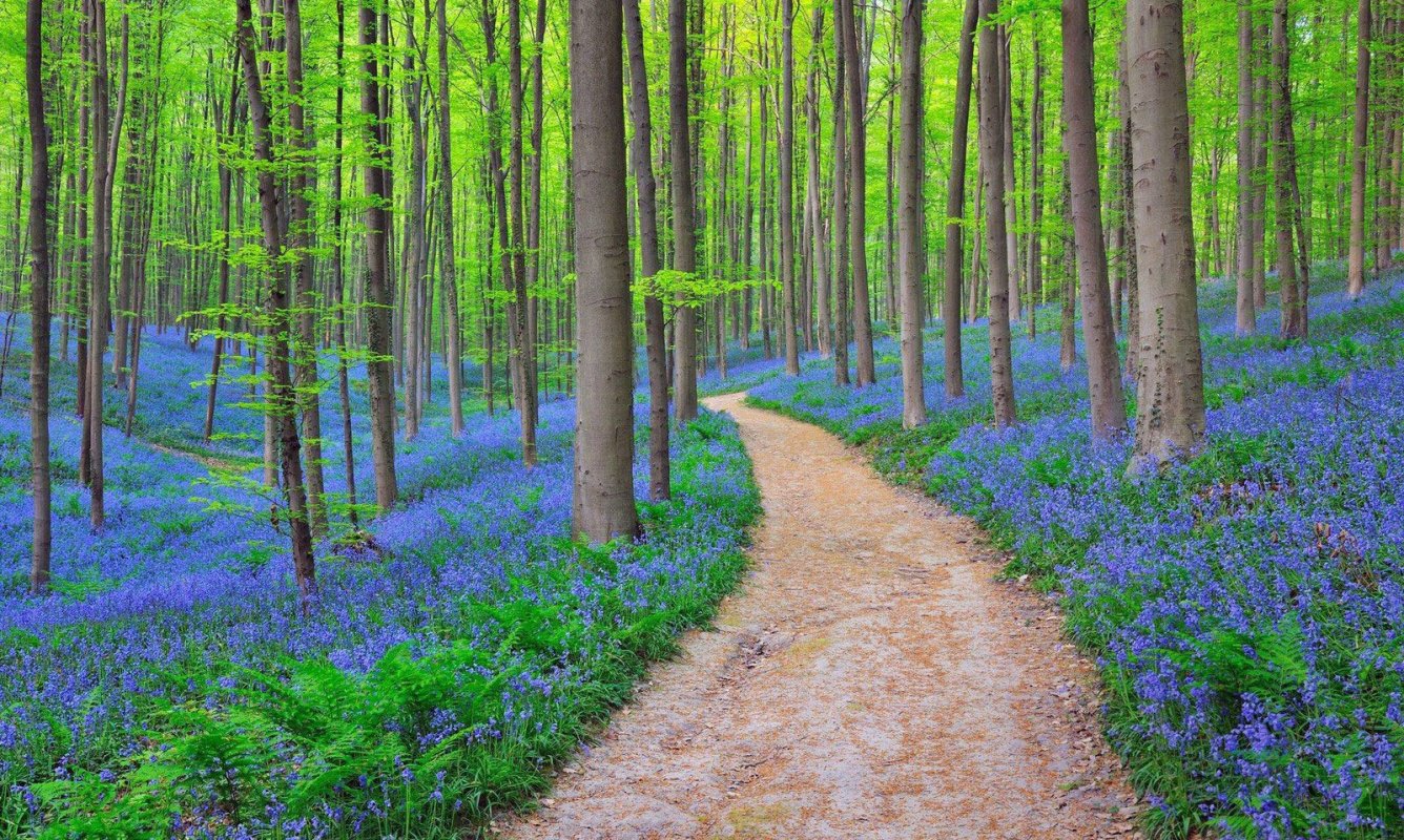 Viață dublă 36093