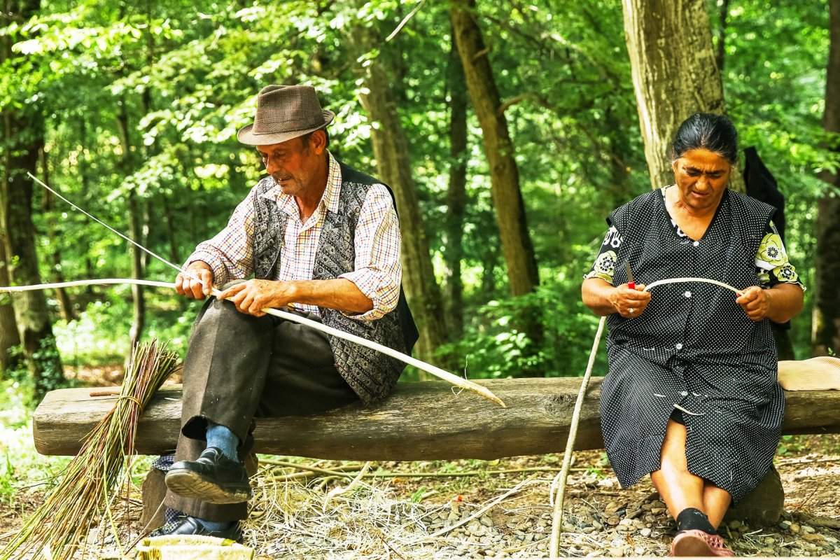 „ASTRA Multicultural”, la Muzeul în aer liber din Dumbrava Sibiului 35863