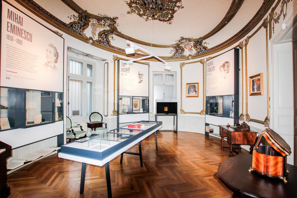 O călătorie pe marea istoriei literaturii române 35825