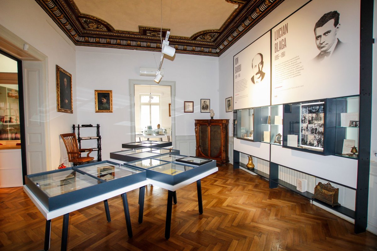 O călătorie pe marea istoriei literaturii române 35826