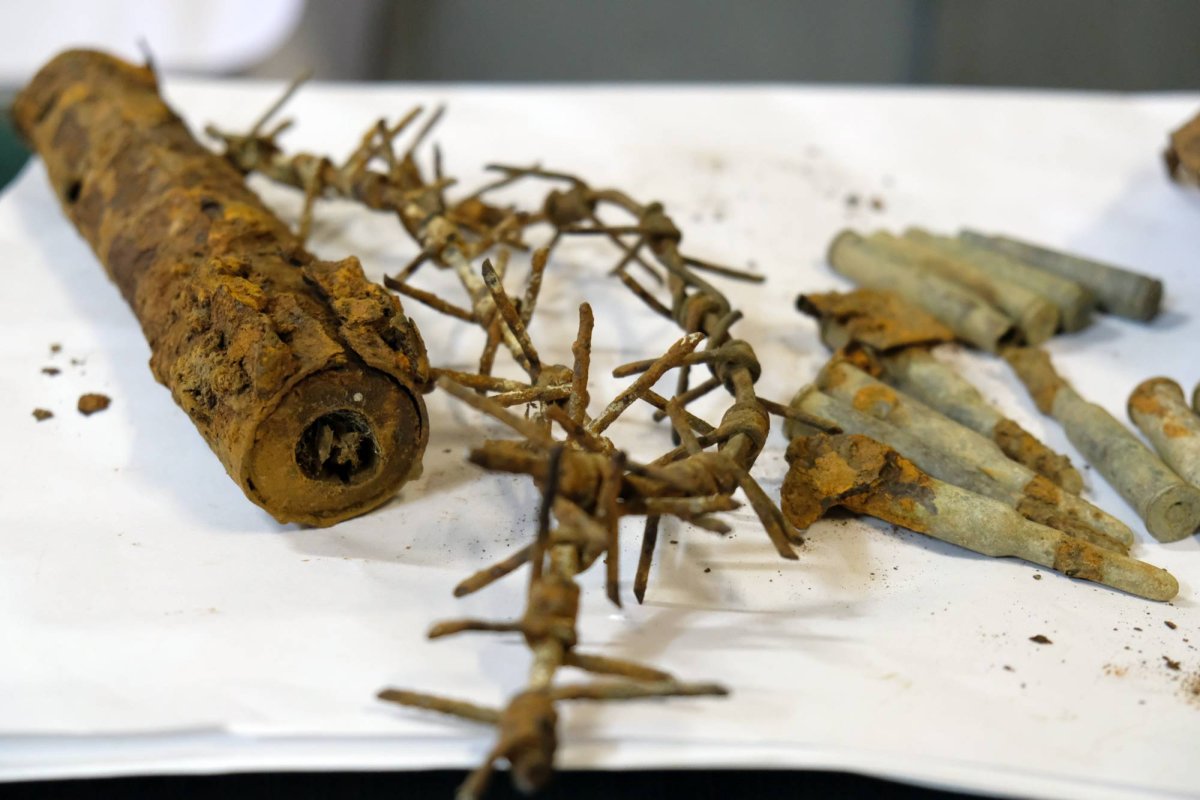 Epopeea unor victorii  mari cât un veac 35722