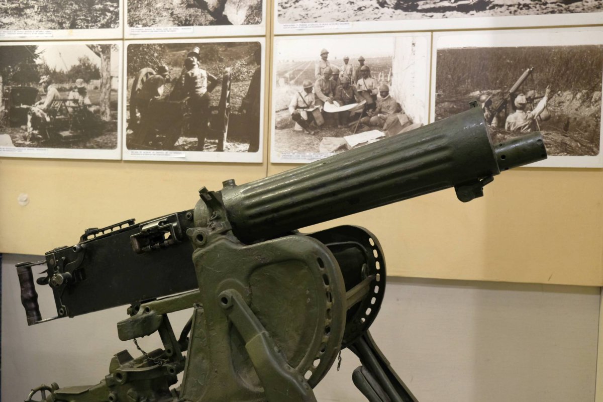 Epopeea unor victorii  mari cât un veac 35726