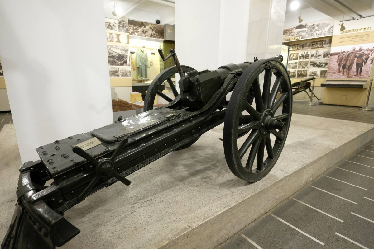 Epopeea unor victorii  mari cât un veac 35730