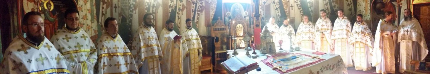 S-au încheiat cursurile de formare pentru tinerii preoţi din Arhiepiscopia Iaşilor 35559