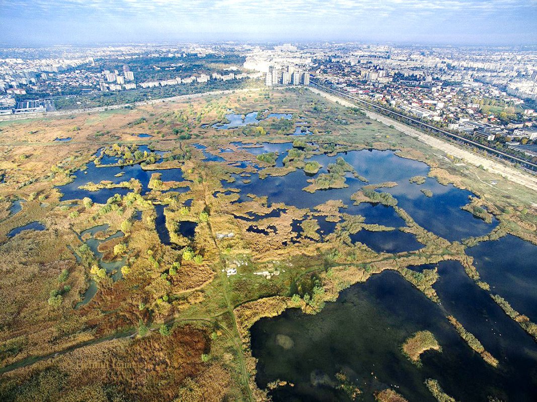 Lecţii de biologie în Parcul Văcăreşti, din toamnă 35409