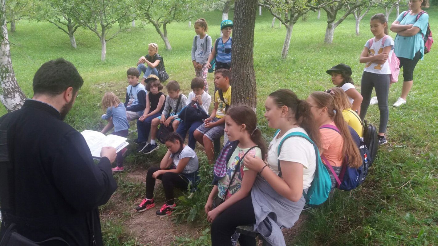 Tabere sociale la Vălenii de Munte 35402