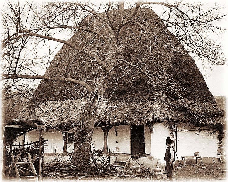 Proiect European pentru reabilitarea „Casei Lupuţ din Cizer”, Sălaj 35312