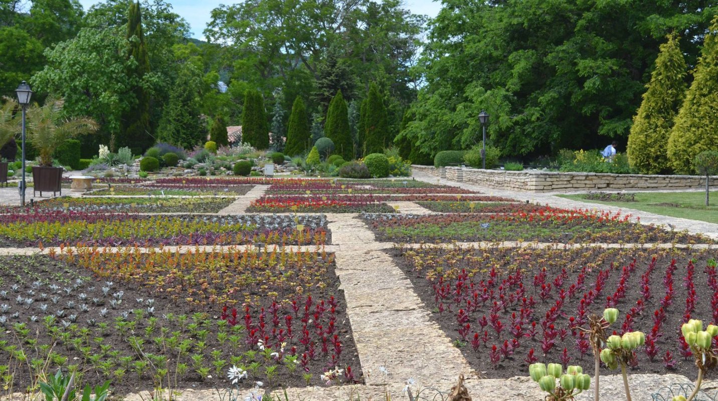 O regină ca din povești - Maria 35232