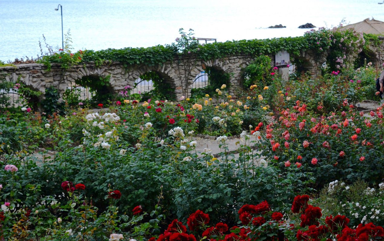 O regină ca din povești - Maria 35233