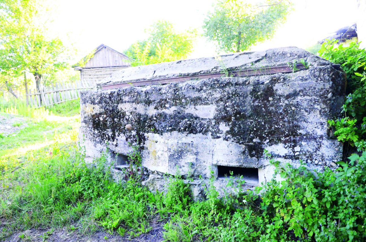 „Când ne-am întors nu mai era nimic din tot satul” 35244