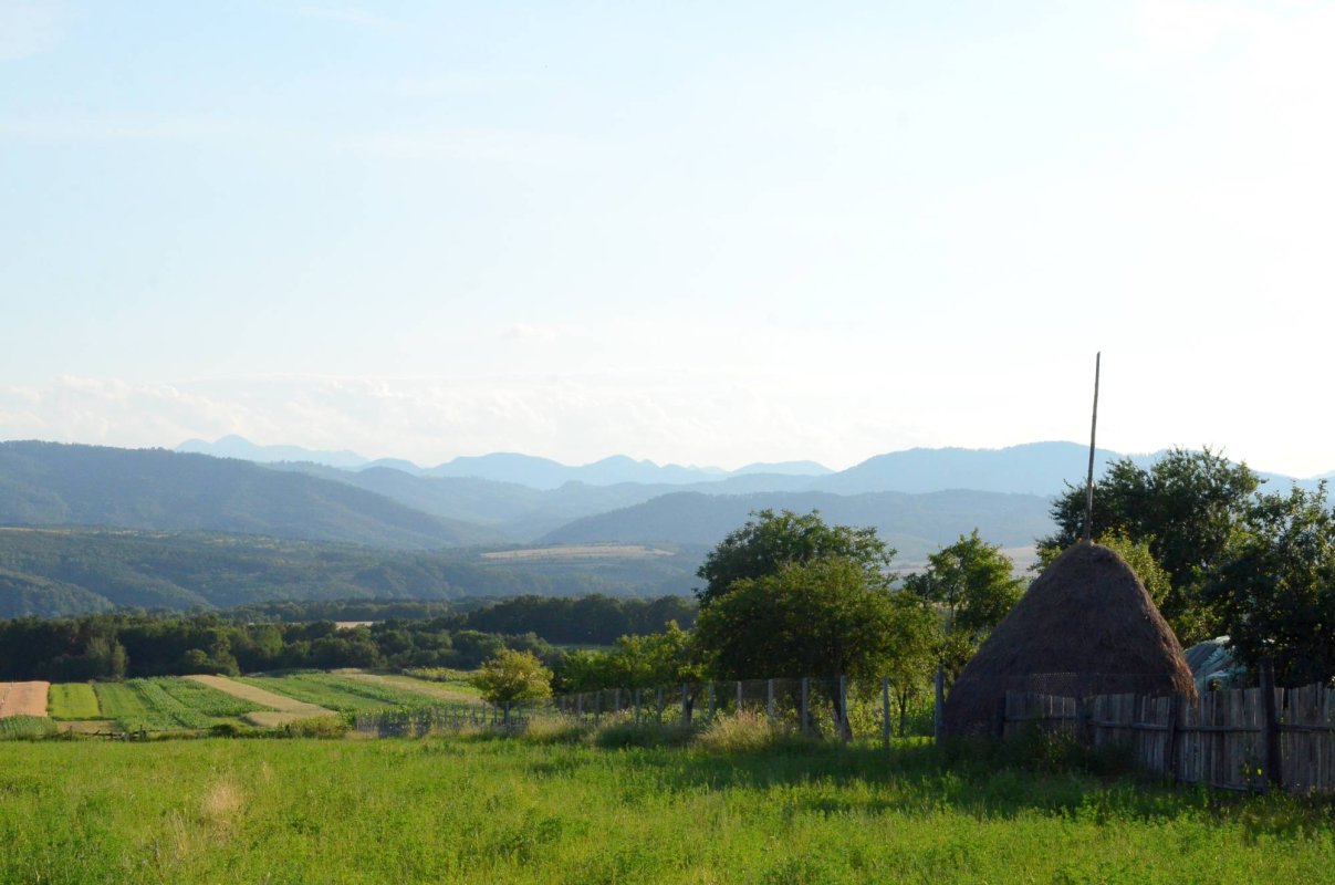 Mărăști, misiune îndeplinită! 35262