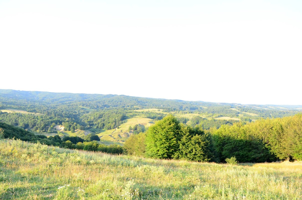 Mărăști, misiune îndeplinită! 35263