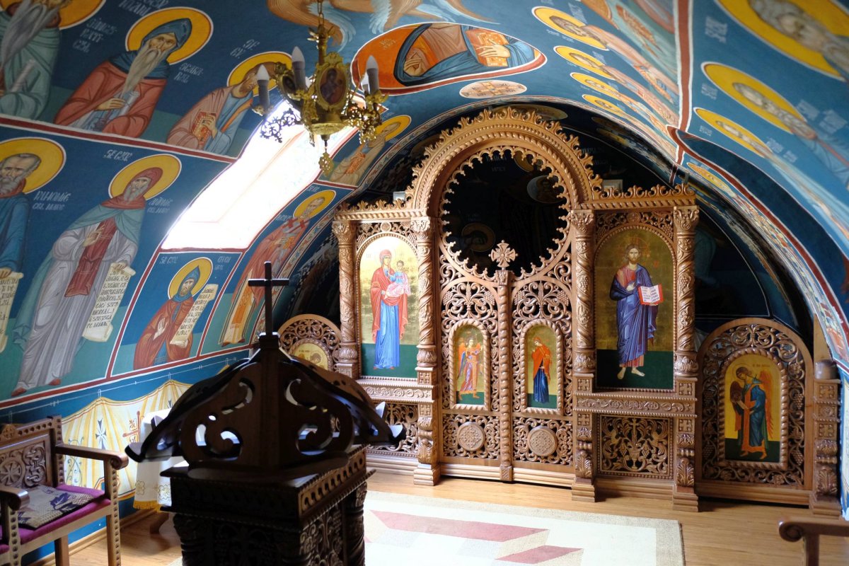 Pedagog sau zugrav? 34909