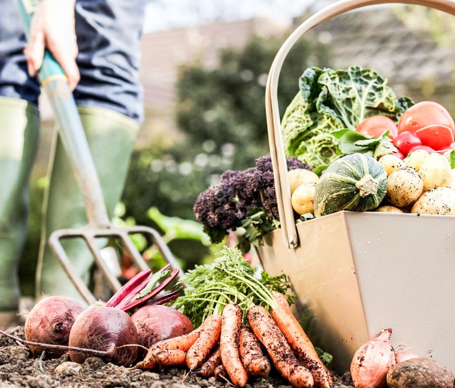 Numărul fermierilor din agricultura ecologică, în scădere 34626