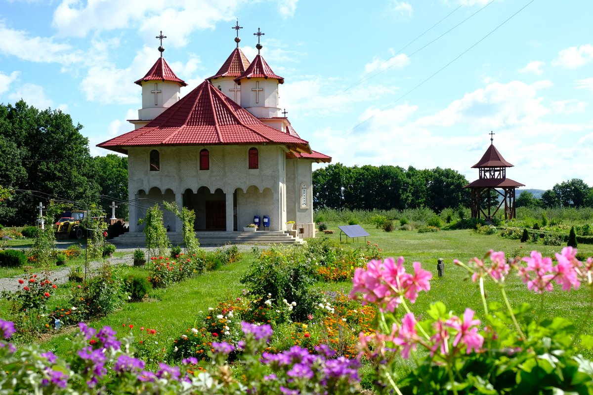 Bobota, răspunsul unei slujiri a bucuriei 34476