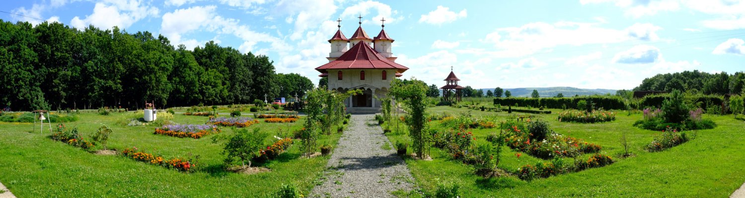 Bobota, răspunsul unei slujiri a bucuriei 34484