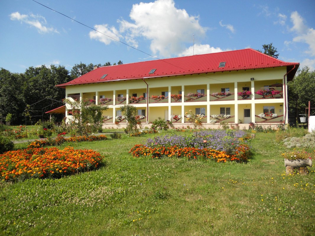 Bobota, răspunsul unei slujiri a bucuriei 34487