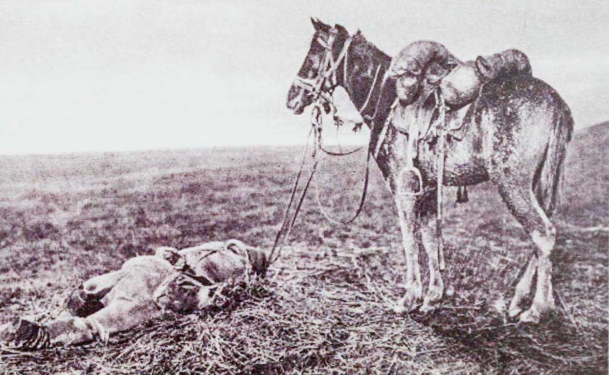 Lupta de la Mărășești și eroii ei      34417