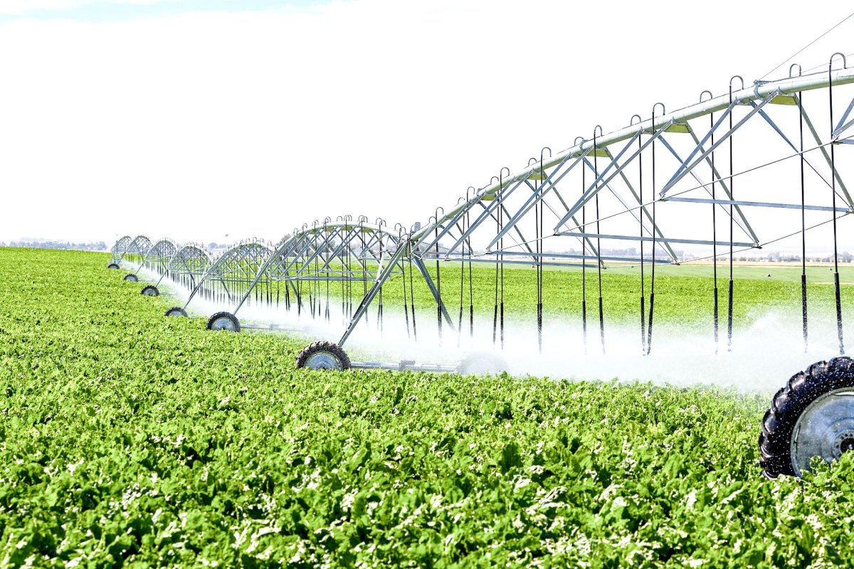 Suprafețele agricole irigate, de șase ori mai mari în 2017 34264