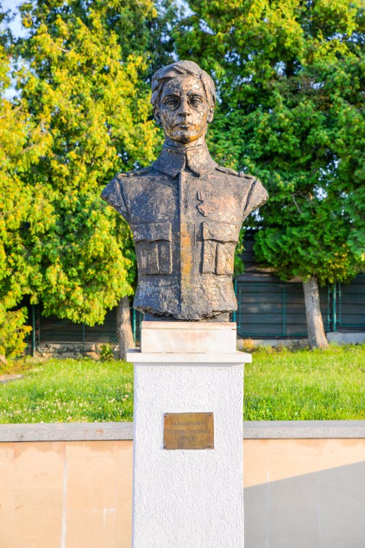 „Eroii noștri sunt seva viitorului României!” 34116