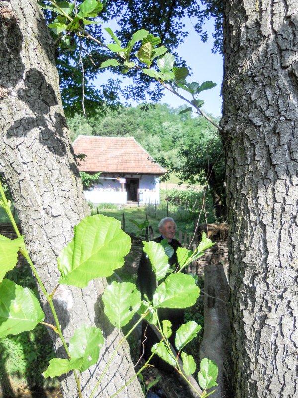 „Casa lui Fănuță” din Cizer, un „acasă ca demult” 33706