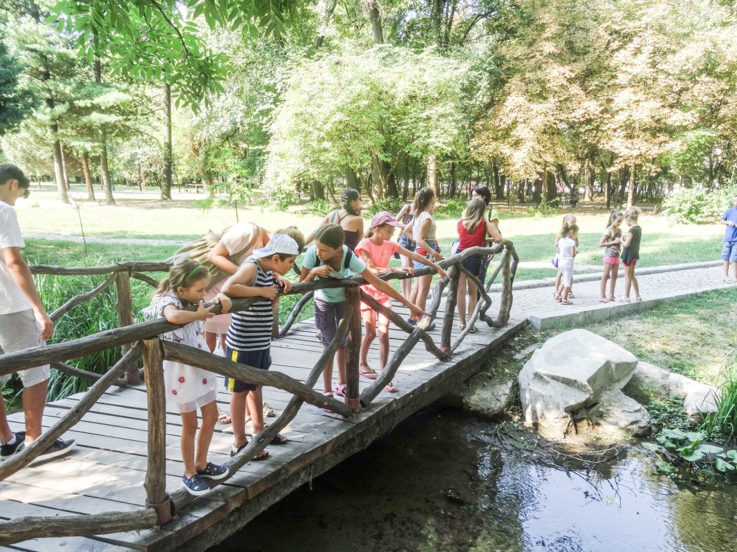 Tabăra „Tradiţie şi noutate”, la Bistriţa 33371