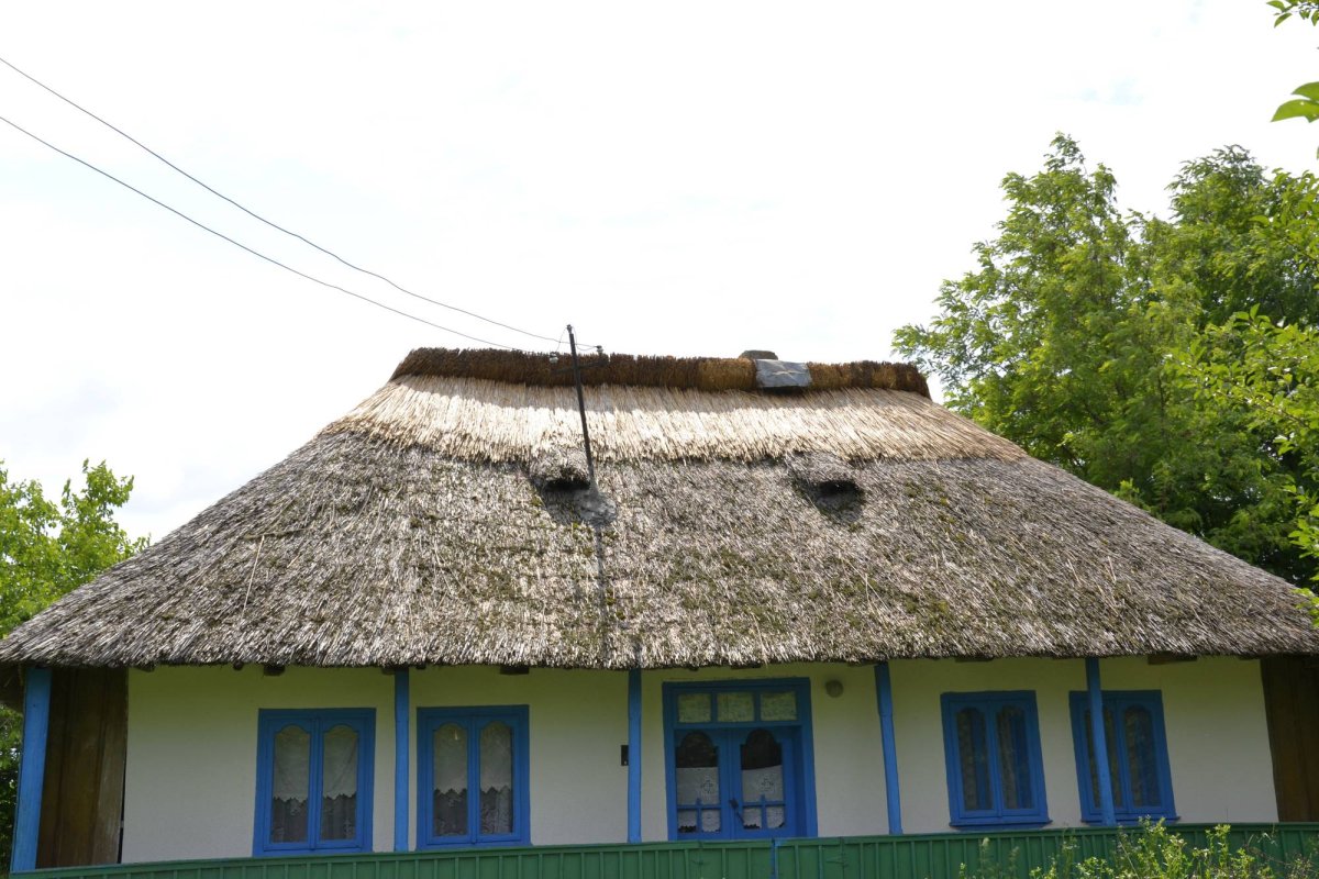 Jupuitul caselor, meșteșugul-simbol al Ibăneștilor 33193