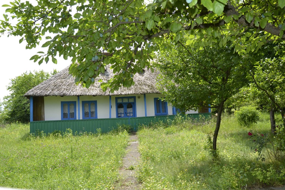 Jupuitul caselor, meșteșugul-simbol al Ibăneștilor 33196