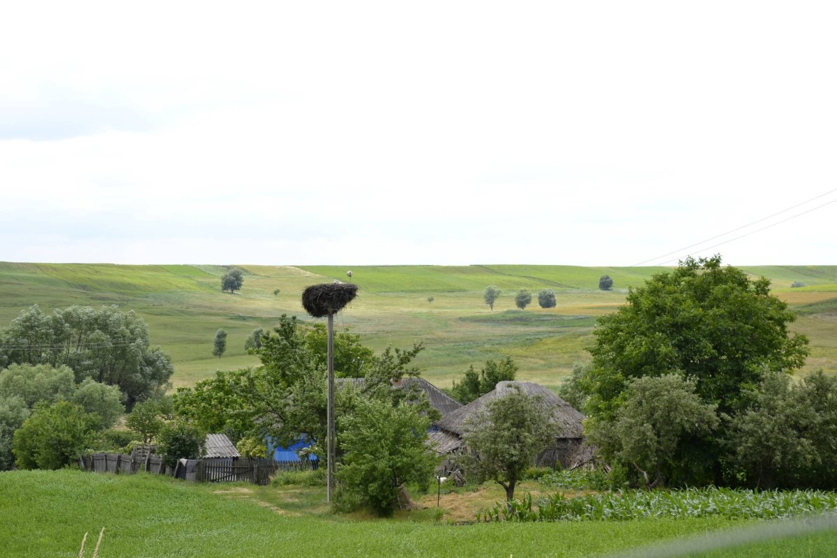 Jupuitul caselor, meșteșugul-simbol al Ibăneștilor 33197