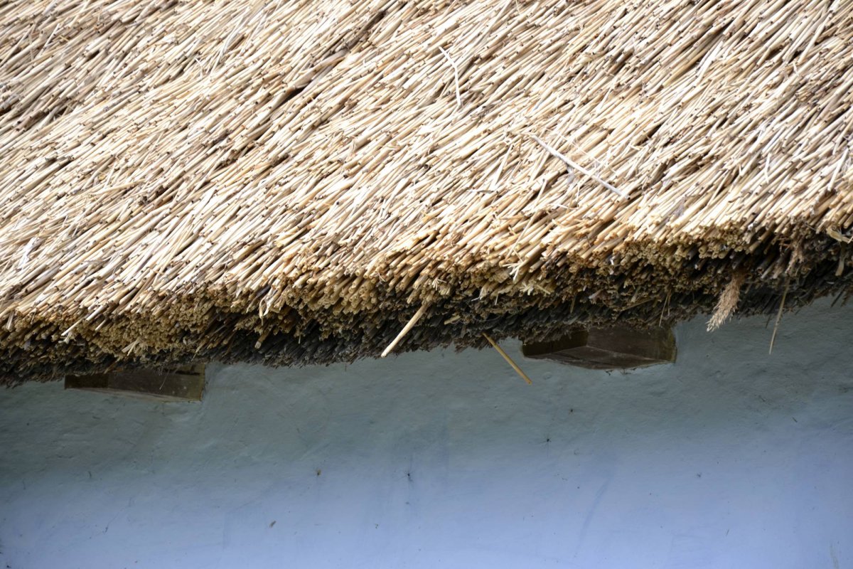 Jupuitul caselor, meșteșugul-simbol al Ibăneștilor 33198