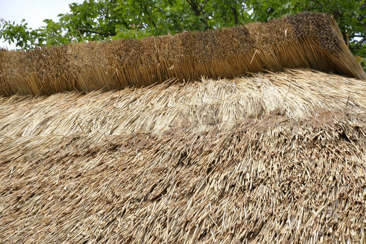 Jupuitul caselor, meșteșugul-simbol al Ibăneștilor 33199