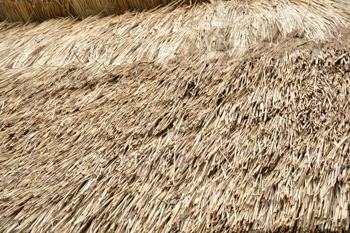 Jupuitul caselor, meșteșugul-simbol al Ibăneștilor 33200