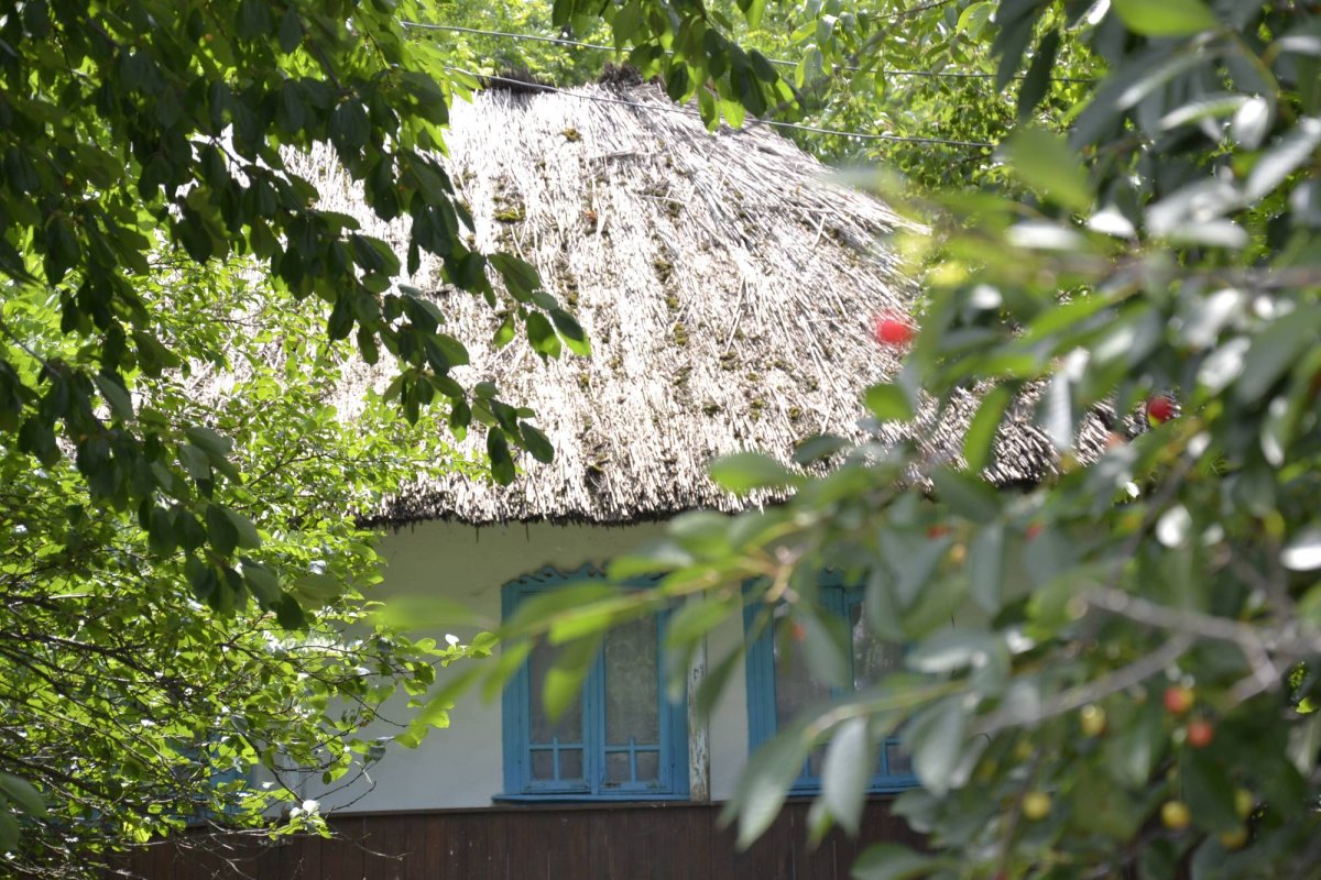 Jupuitul caselor, meșteșugul-simbol al Ibăneștilor 33201