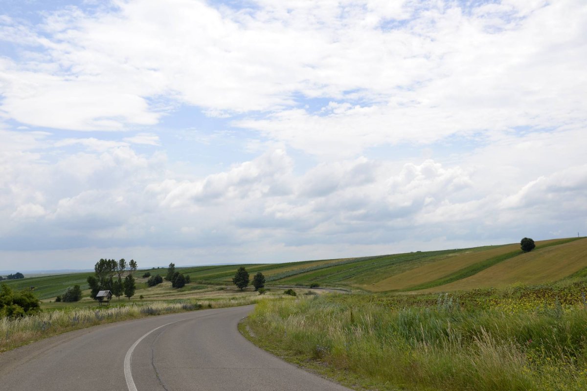 Jupuitul caselor, meșteșugul-simbol al Ibăneștilor 33203