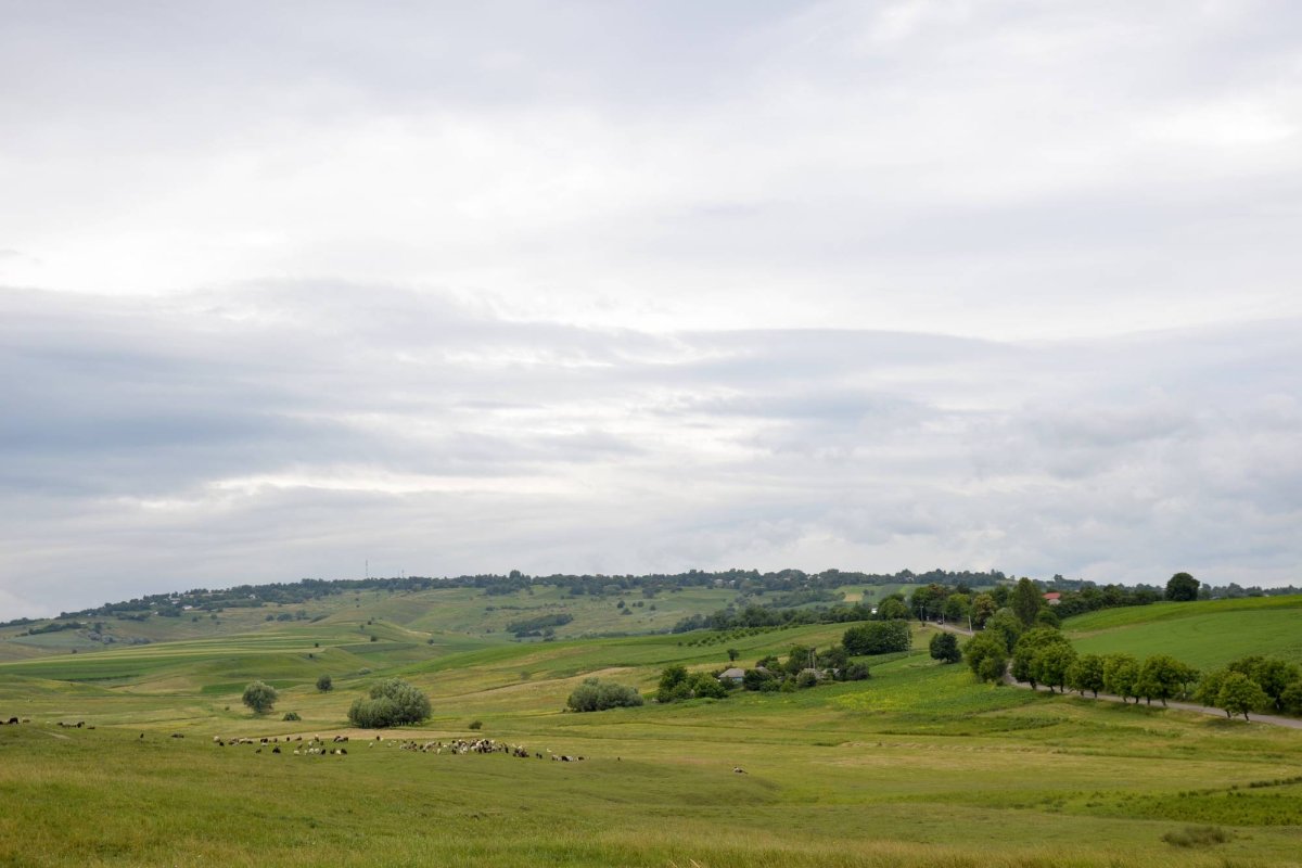 Jupuitul caselor, meșteșugul-simbol al Ibăneștilor 33208