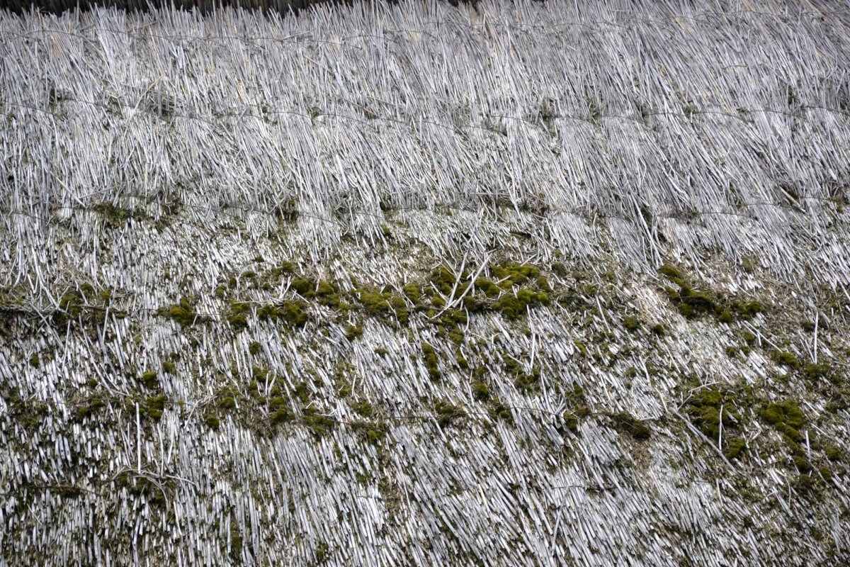 Jupuitul caselor, meșteșugul-simbol al Ibăneștilor 33209