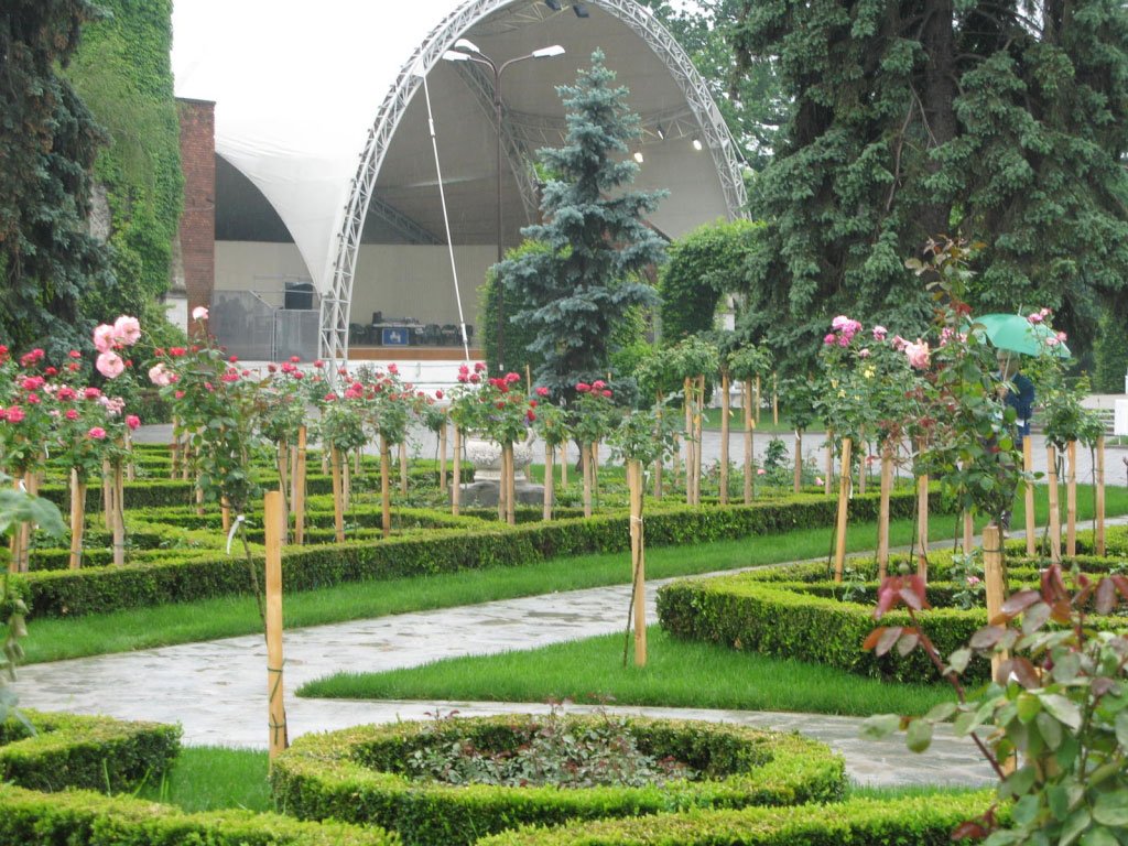 Serate lirice printre trandafirii din Parcul Rozelor 33041