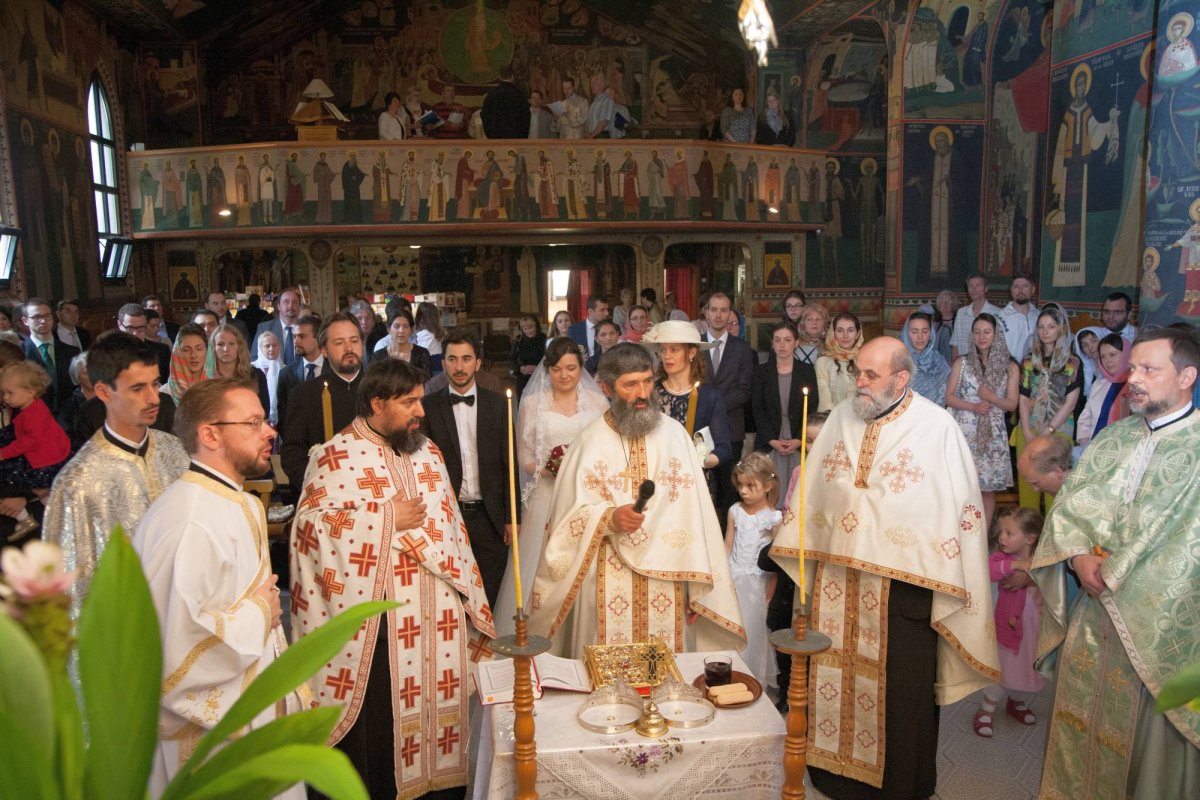 ITO, locul care schimbă vieți 32814