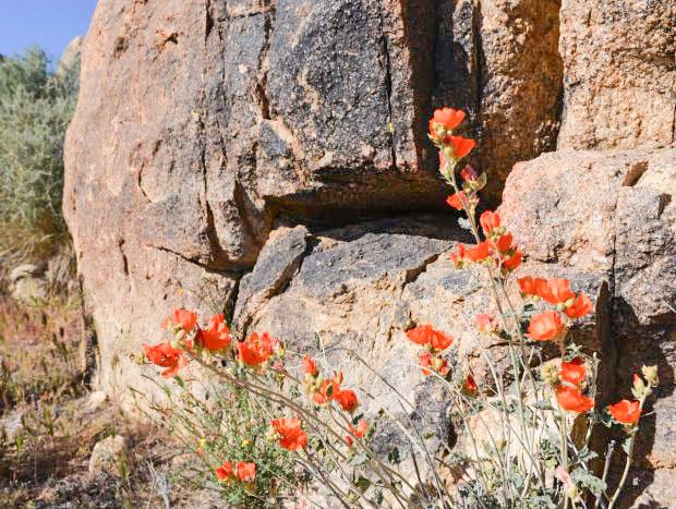 Doamne, miluiește-mă cum vrei și cum știi! 32169