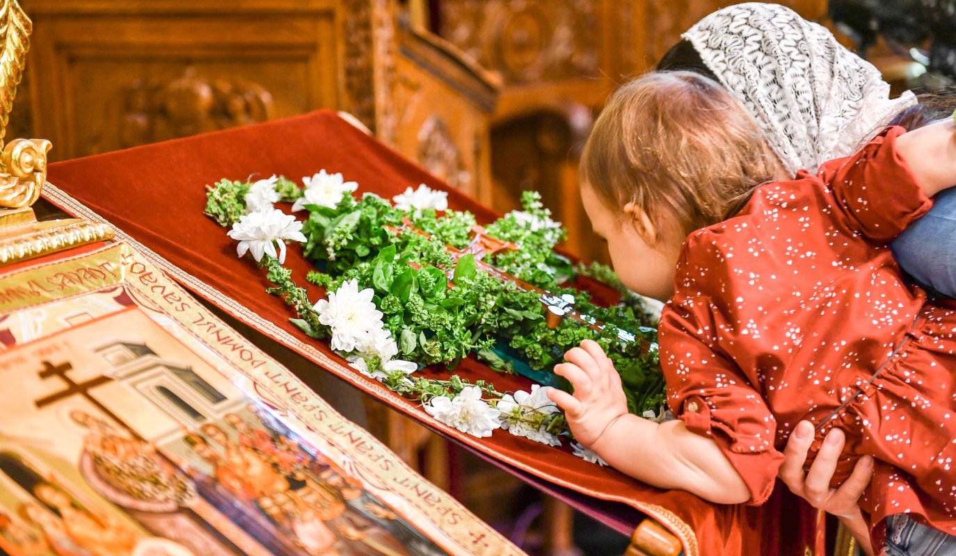 Semnul iubirii lui Hristos ne cheamă la viață veșnică 32012