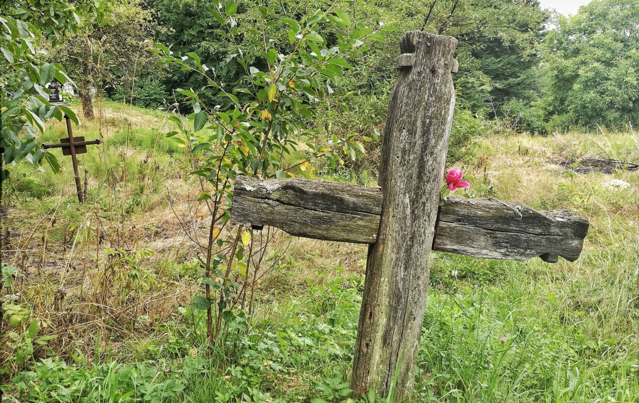 Nu lua în seamă nedreptatea și nici lauda 31714
