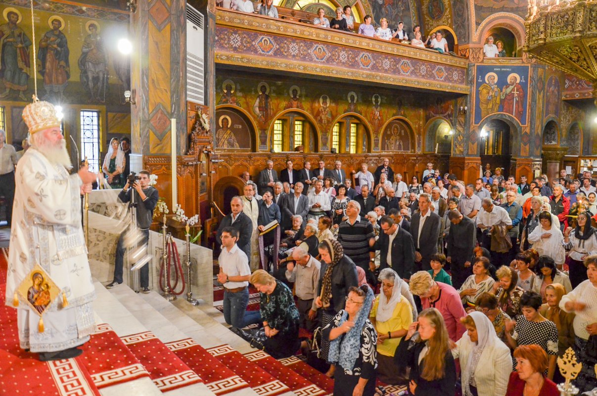 Suită de evenimente la Parohia Timișoara-Iosefin 31691