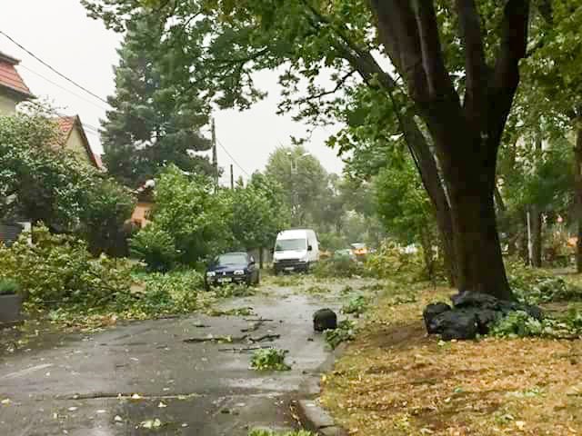 Solidari cu bănățenii afectați de furtună 31626