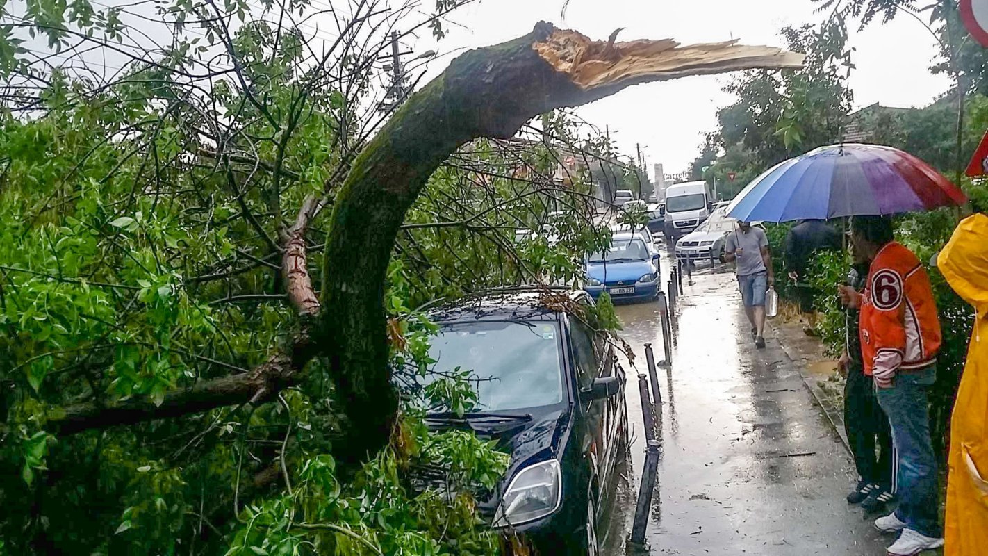 Solidari cu bănățenii afectați de furtună 31631