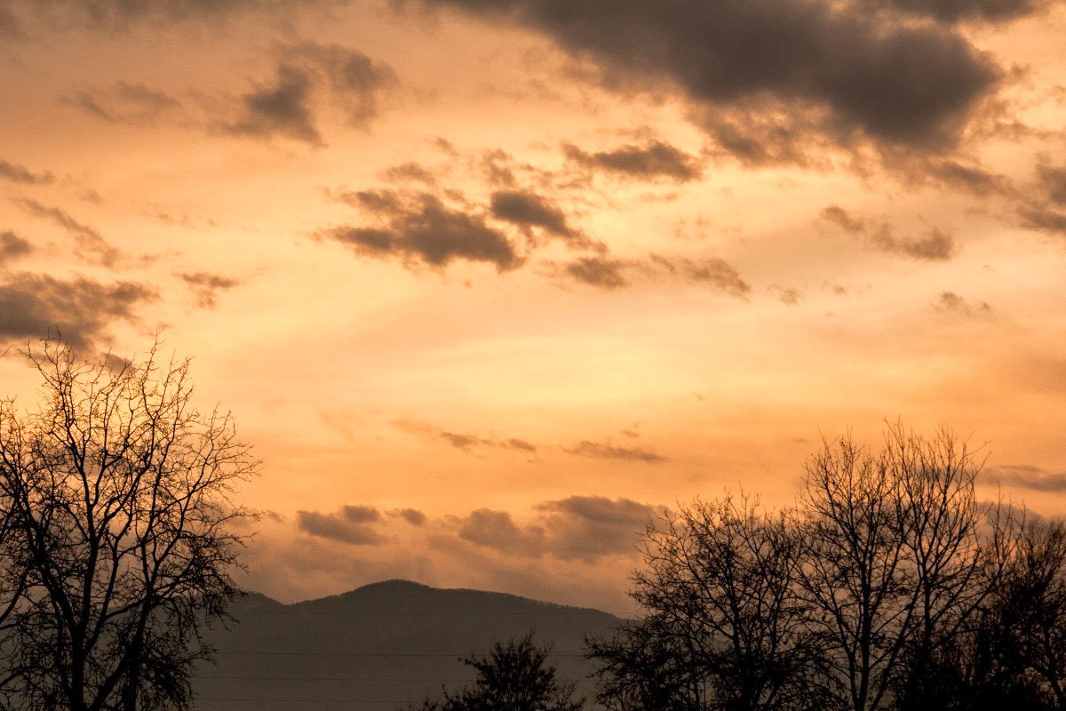 Caii din pereți (I) 31578